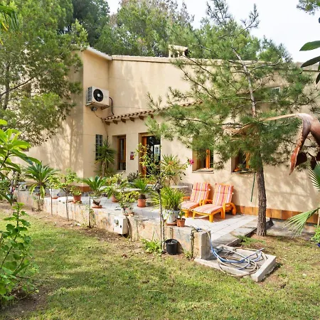 Swanky In Orihuela With Garden Torrevieja